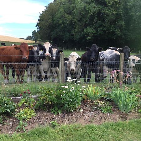 Retreat At The Knowe Auchincruive Estate Bed & Breakfast แอร์ ภายนอก รูปภาพ