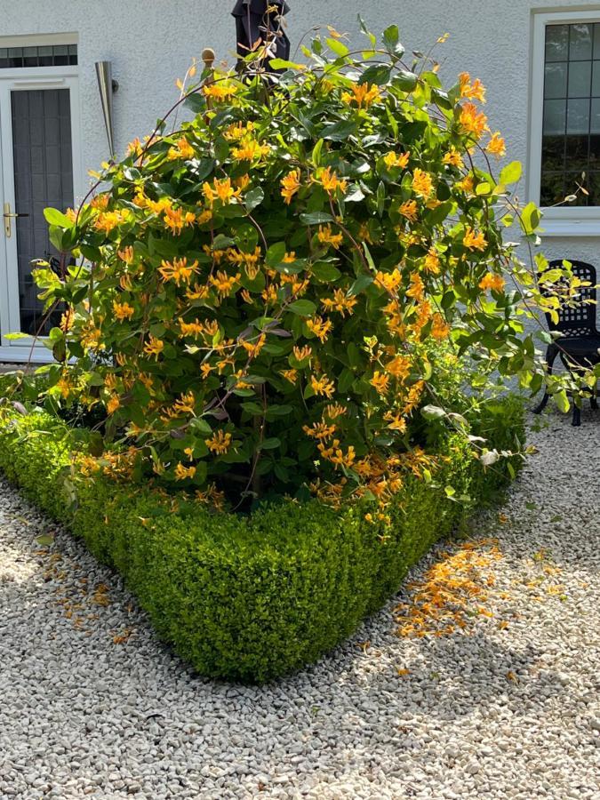 Retreat At The Knowe Auchincruive Estate Bed & Breakfast แอร์ ภายนอก รูปภาพ
