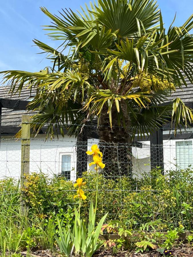 Retreat At The Knowe Auchincruive Estate Bed & Breakfast แอร์ ภายนอก รูปภาพ