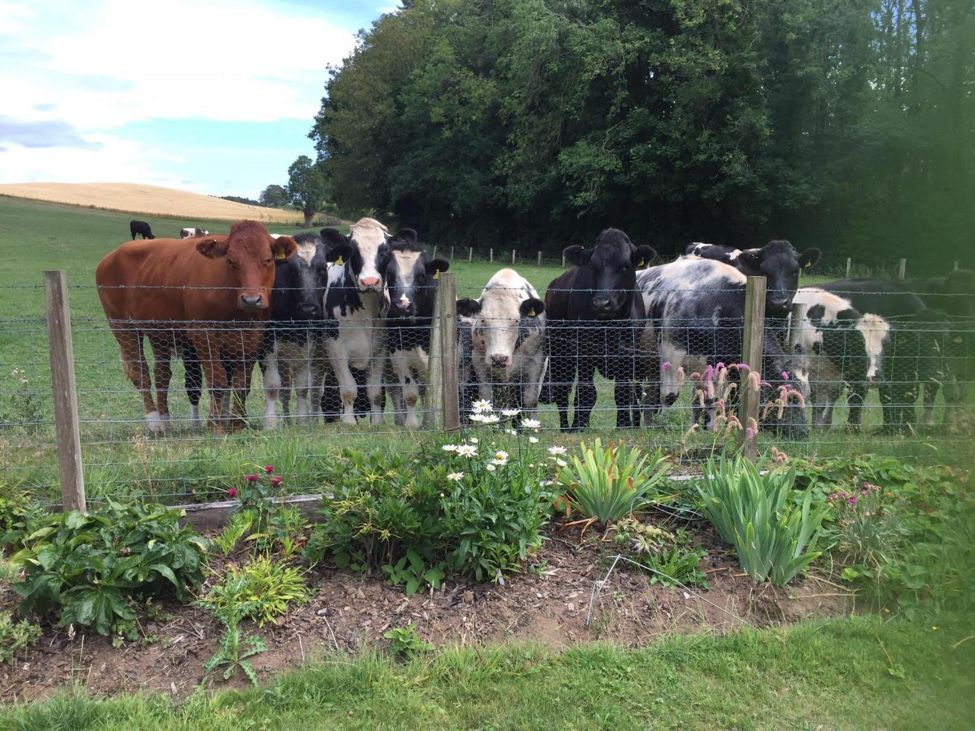 Retreat At The Knowe Auchincruive Estate Bed & Breakfast แอร์ ภายนอก รูปภาพ